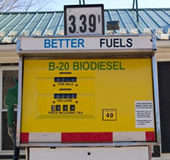 Biodiesel Pump